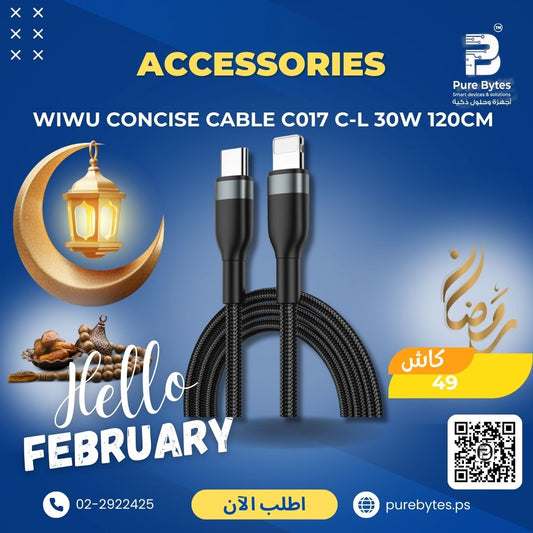 WIWU CONCISE CABLE C017 C L 30W 120CM