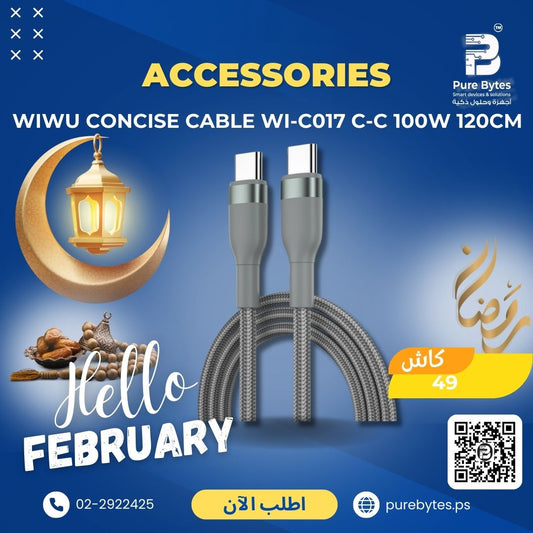 WIWU CONCISE CABLE WI C017 C C 100W 120CM