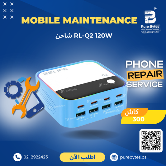 RELIFE RL Q2 120W Charger